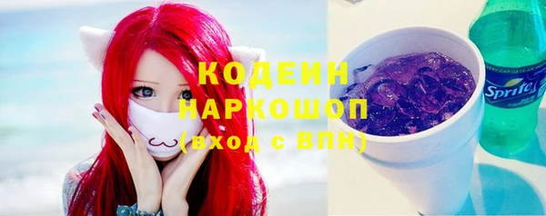 трава Ельня
