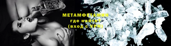 трава Ельня