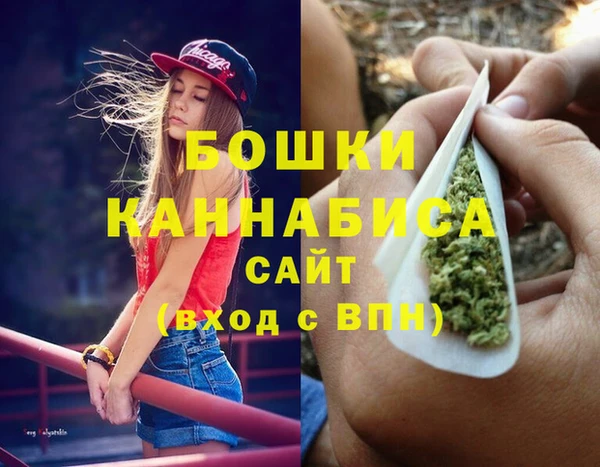 трава Ельня