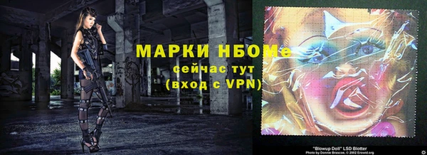 трава Ельня