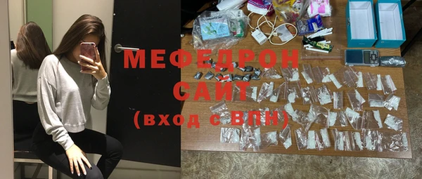 трава Ельня