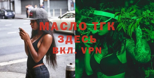 трава Ельня