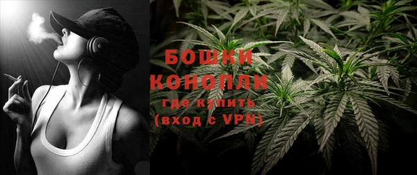 трава Ельня